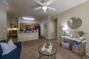 One-Bedroom-Apartments-in-San-Antonio-Texas-Model-Apartment-Interior